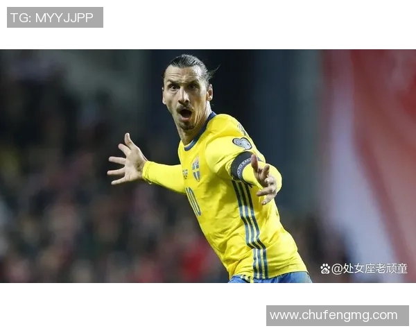 足球球星偏爱哪些品牌和型号的足球探索及选择背后的奥秘