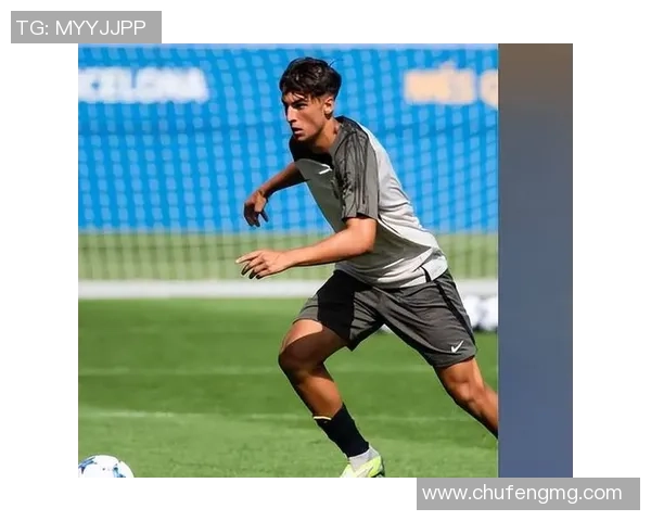 足球球星哈莱德是谁 他在足坛的影响力和成就解析